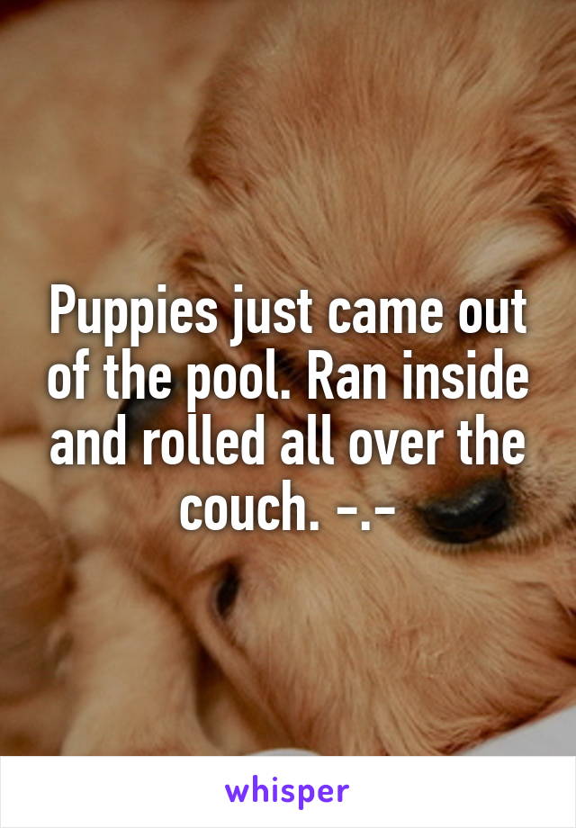 Puppies just came out of the pool. Ran inside and rolled all over the couch. -.-