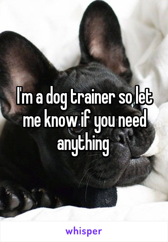 I'm a dog trainer so let me know if you need anything 