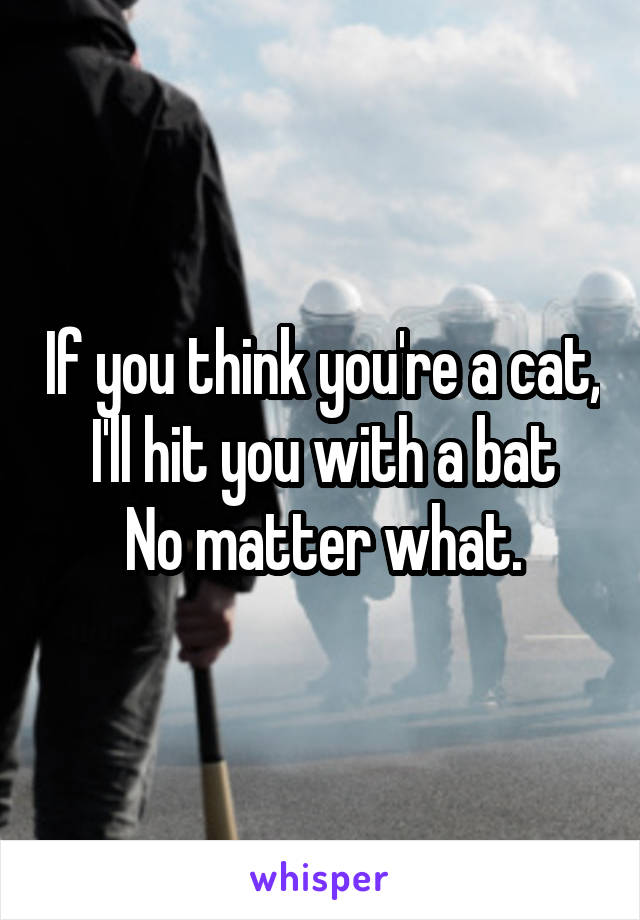 If you think you're a cat, I'll hit you with a bat
No matter what.