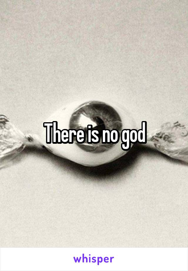 There is no god