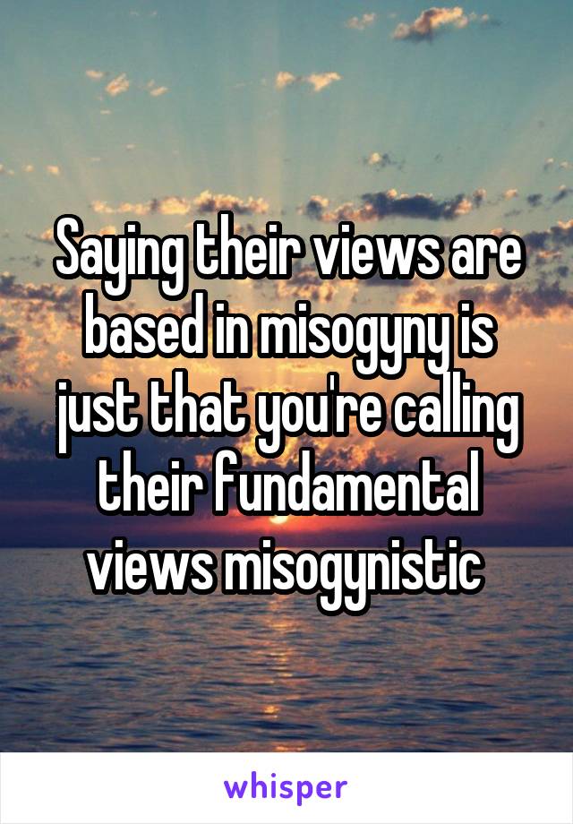 Saying their views are based in misogyny is just that you're calling their fundamental views misogynistic 