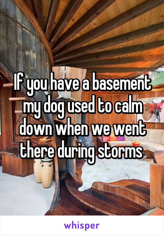 If you have a basement my dog used to calm down when we went there during storms 