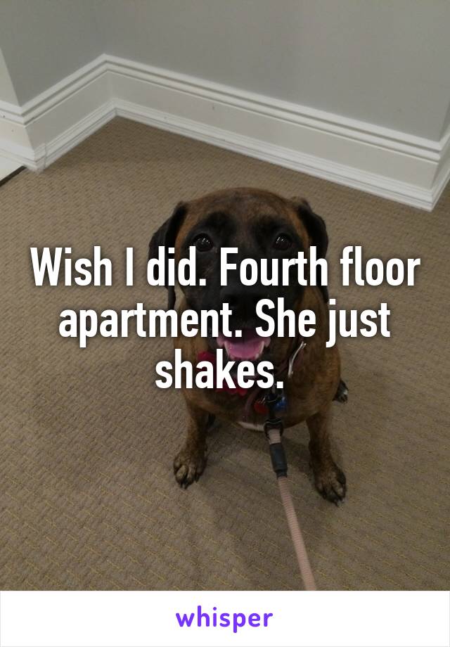 Wish I did. Fourth floor apartment. She just shakes. 