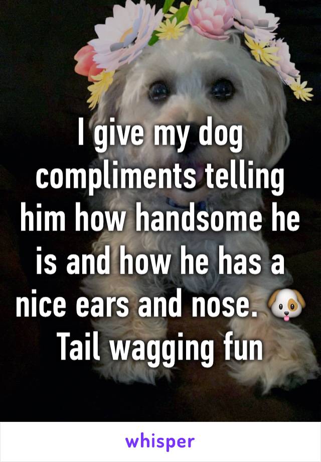 I give my dog compliments telling him how handsome he is and how he has a nice ears and nose. 🐶
Tail wagging fun