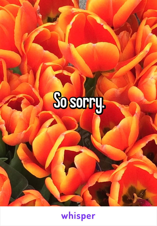 So sorry.
