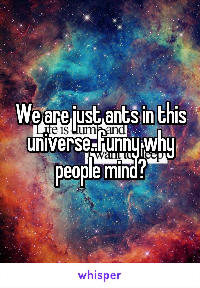 We are just ants in this universe..funny why people mind?