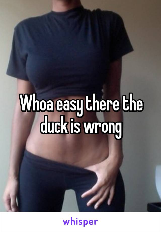 Whoa easy there the duck is wrong