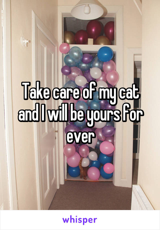 Take care of my cat and I will be yours for ever