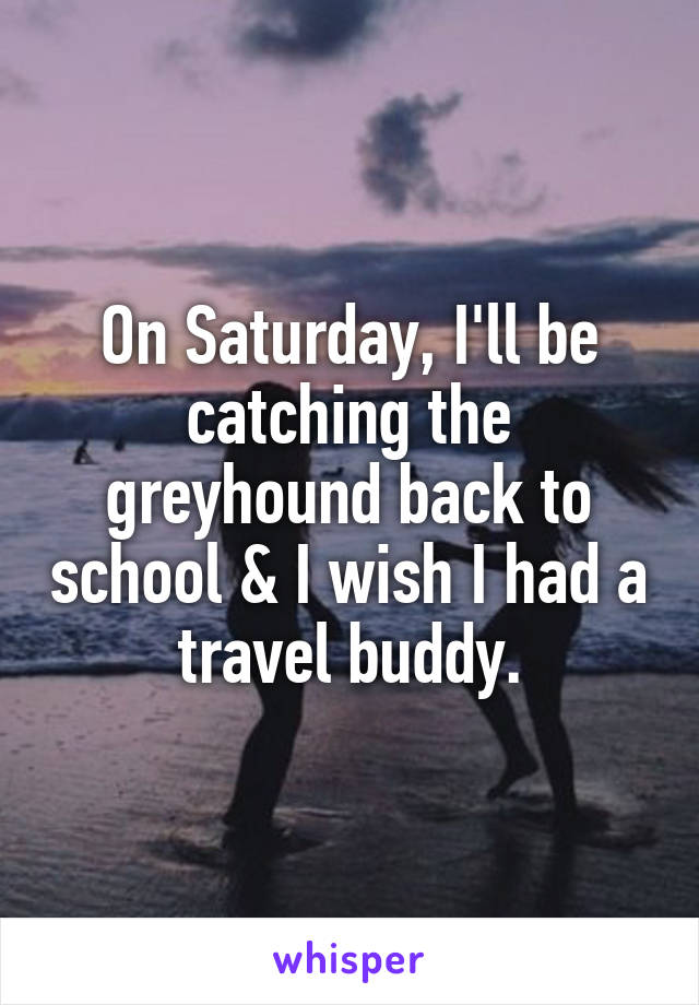 On Saturday, I'll be catching the greyhound back to school & I wish I had a travel buddy.