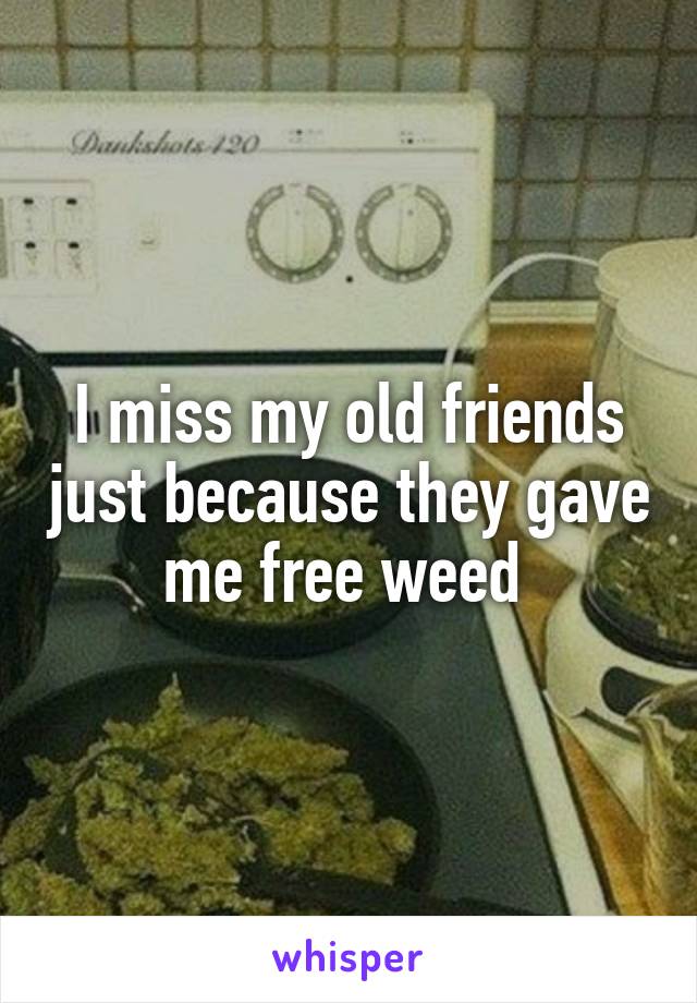 I miss my old friends just because they gave me free weed 