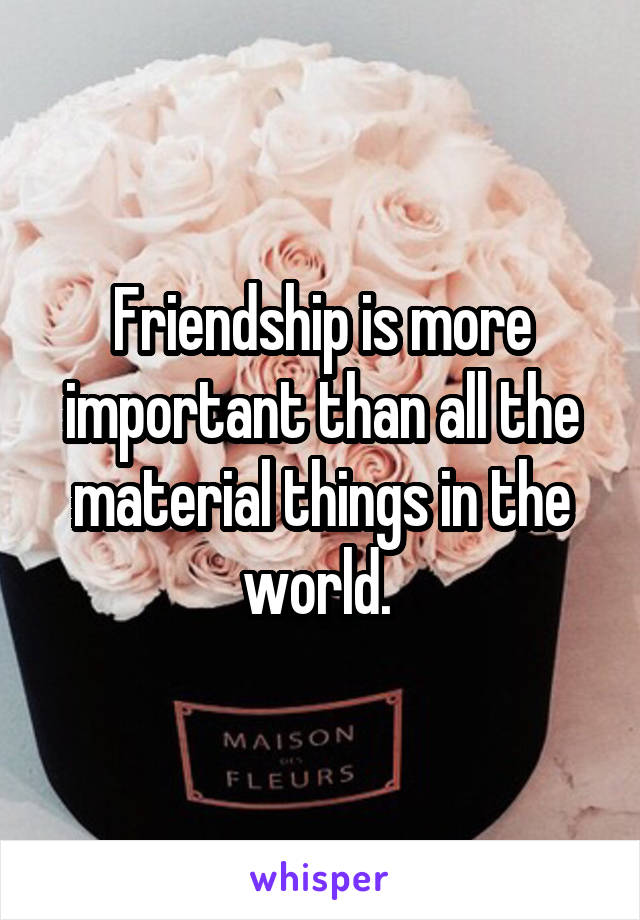 Friendship is more important than all the material things in the world. 