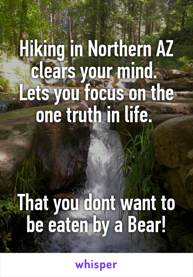 Hiking in Northern AZ clears your mind. 
Lets you focus on the one truth in life. 



That you dont want to be eaten by a Bear!