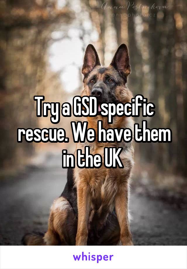 Try a GSD specific rescue. We have them in the UK 