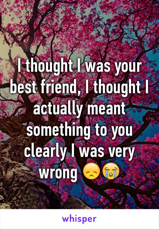 I thought I was your best friend, I thought I actually meant something to you clearly I was very wrong 😞😭