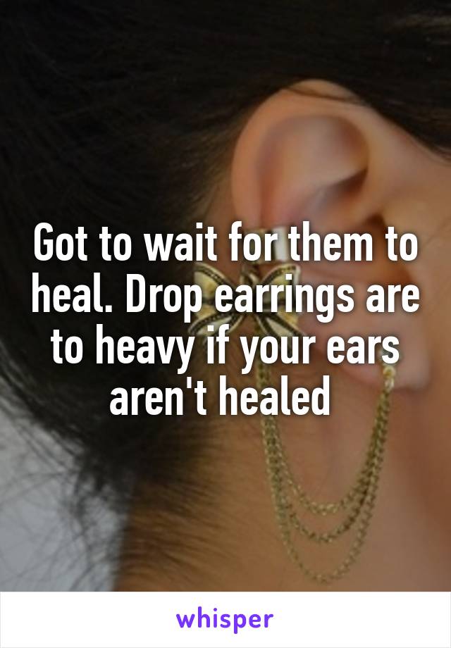 Got to wait for them to heal. Drop earrings are to heavy if your ears aren't healed 