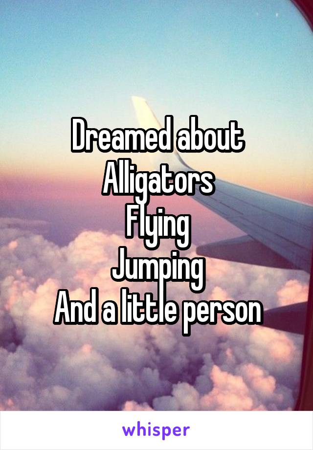 Dreamed about
Alligators
Flying
Jumping
And a little person