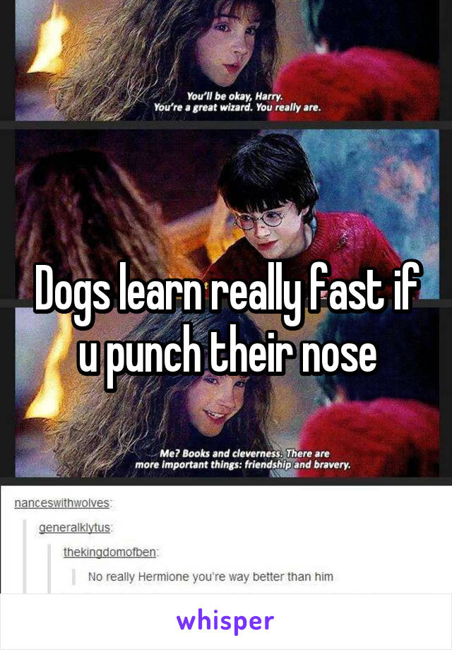 Dogs learn really fast if u punch their nose