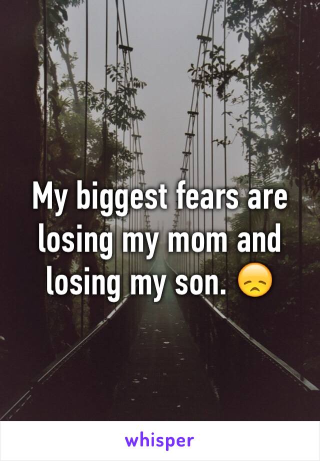 My biggest fears are losing my mom and losing my son. 😞