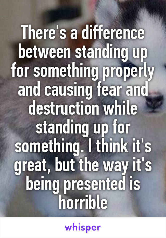 There's a difference between standing up for something properly and causing fear and destruction while standing up for something. I think it's great, but the way it's being presented is horrible