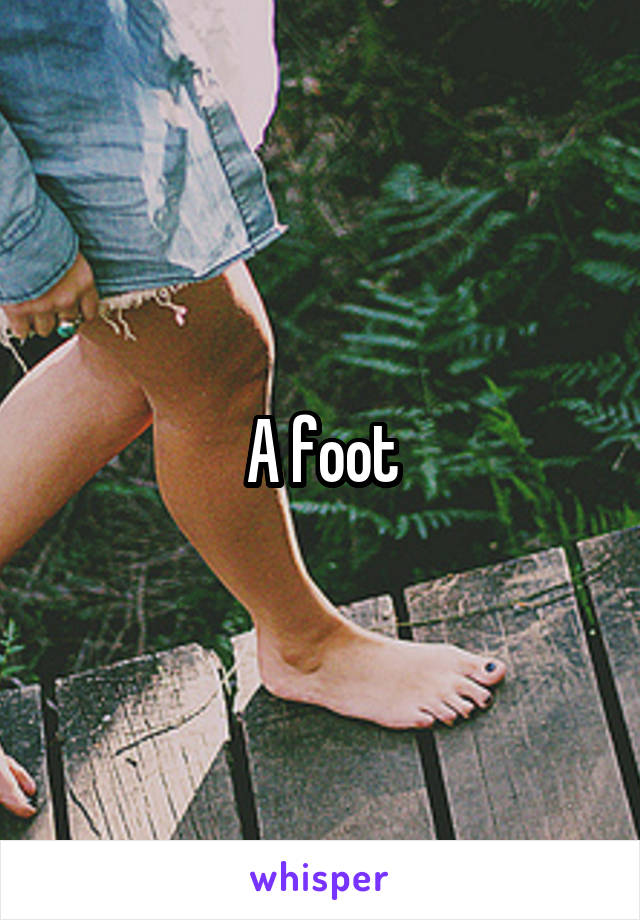 A foot