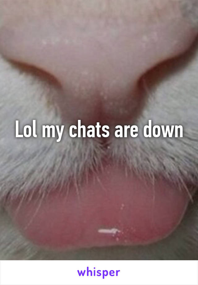 Lol my chats are down

