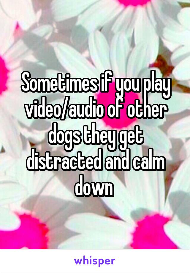 Sometimes if you play video/audio of other dogs they get distracted and calm down 