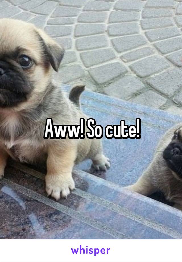 Aww! So cute!