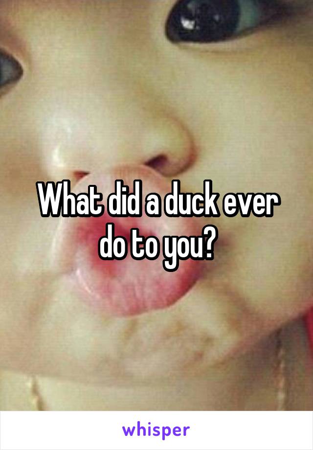 What did a duck ever do to you?