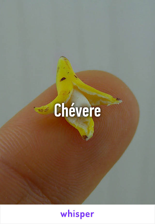 Chévere