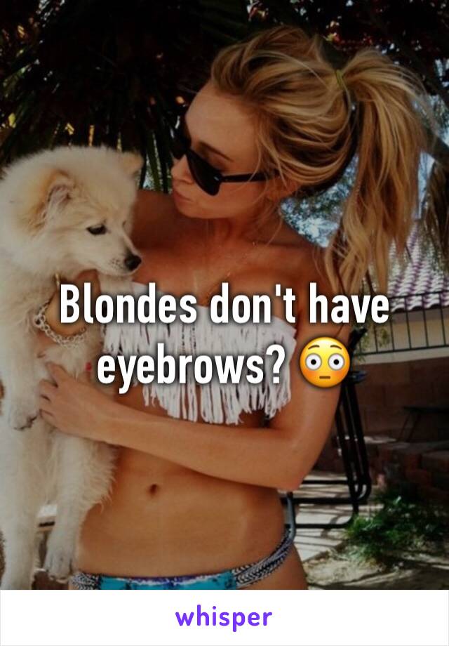 Blondes don't have eyebrows? 😳