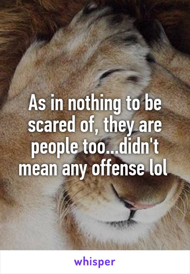 As in nothing to be scared of, they are people too...didn't mean any offense lol 