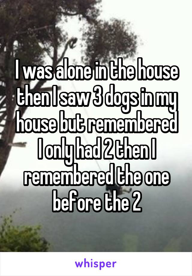 I was alone in the house then I saw 3 dogs in my house but remembered I only had 2 then I remembered the one before the 2