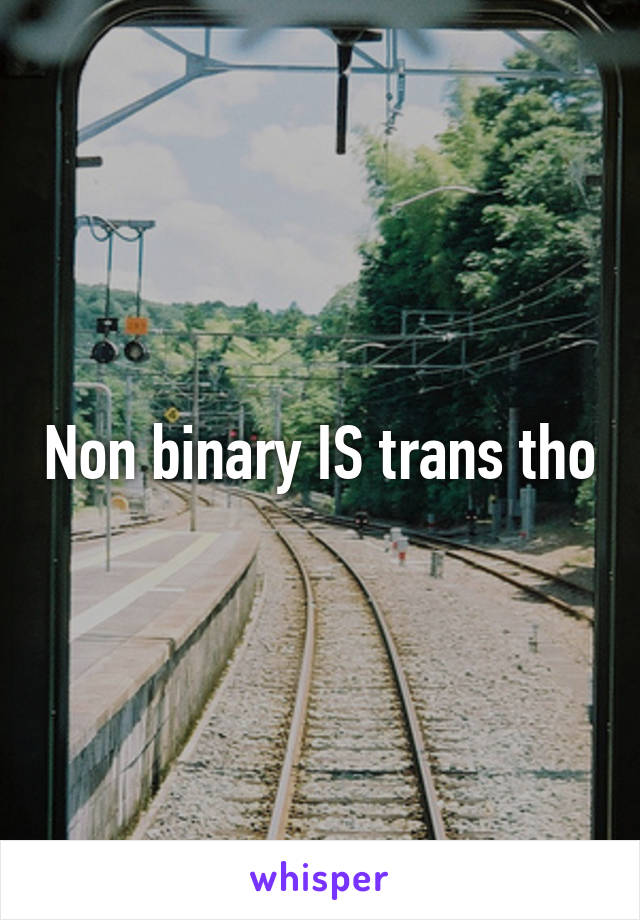 Non binary IS trans tho