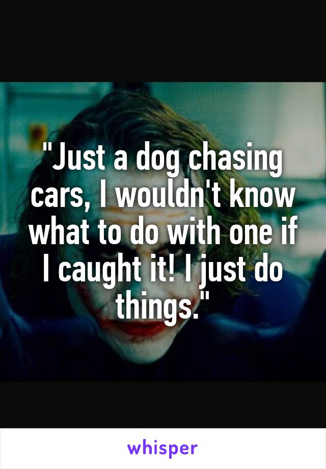 "Just a dog chasing cars, I wouldn't know what to do with one if I caught it! I just do things."