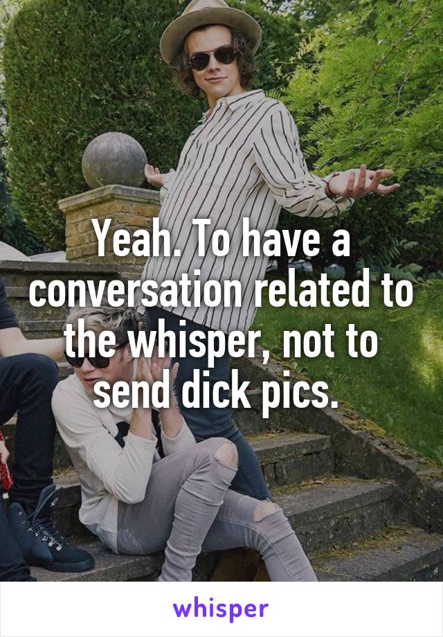 Yeah. To have a conversation related to the whisper, not to send dick pics. 