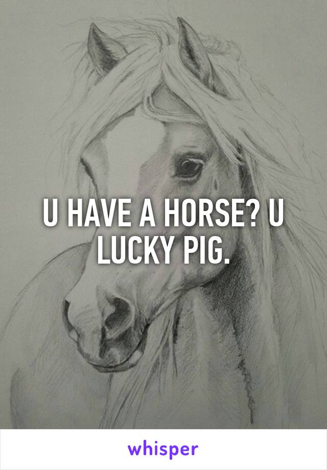 U HAVE A HORSE? U LUCKY PIG.