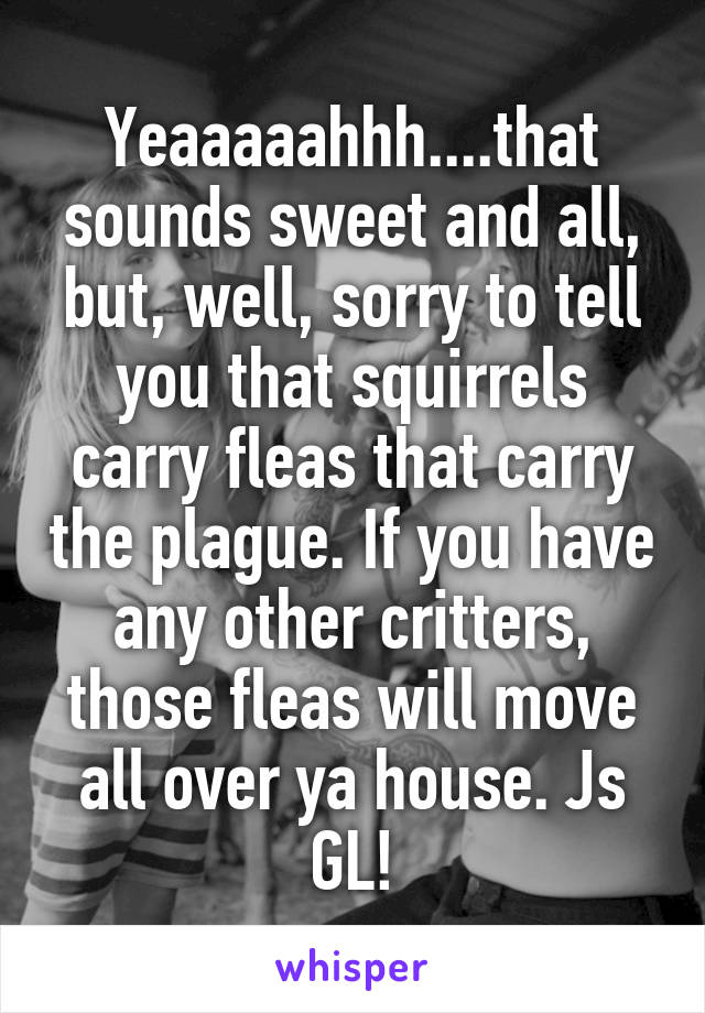 Yeaaaaahhh....that sounds sweet and all, but, well, sorry to tell you that squirrels carry fleas that carry the plague. If you have any other critters, those fleas will move all over ya house. Js GL!