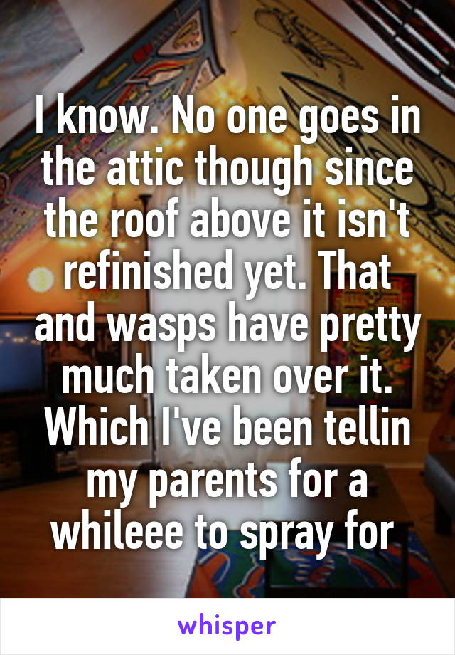 I know. No one goes in the attic though since the roof above it isn't refinished yet. That and wasps have pretty much taken over it. Which I've been tellin my parents for a whileee to spray for 