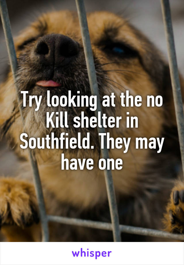 Try looking at the no
Kill shelter in Southfield. They may have one