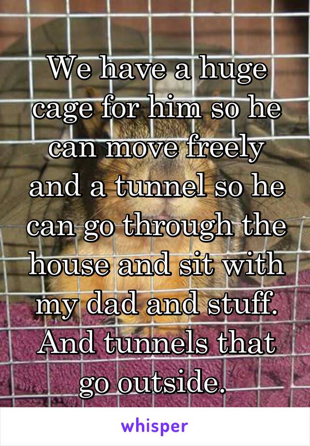 We have a huge cage for him so he can move freely and a tunnel so he can go through the house and sit with my dad and stuff. And tunnels that go outside. 