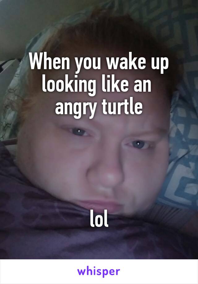 When you wake up looking like an 
angry turtle




lol