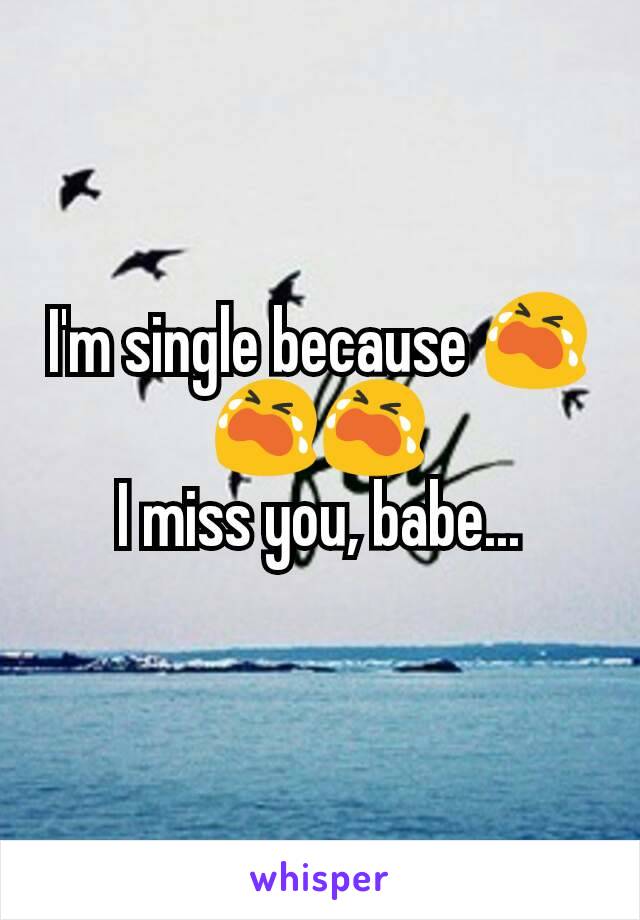 I'm single because 😭😭😭
I miss you, babe...
