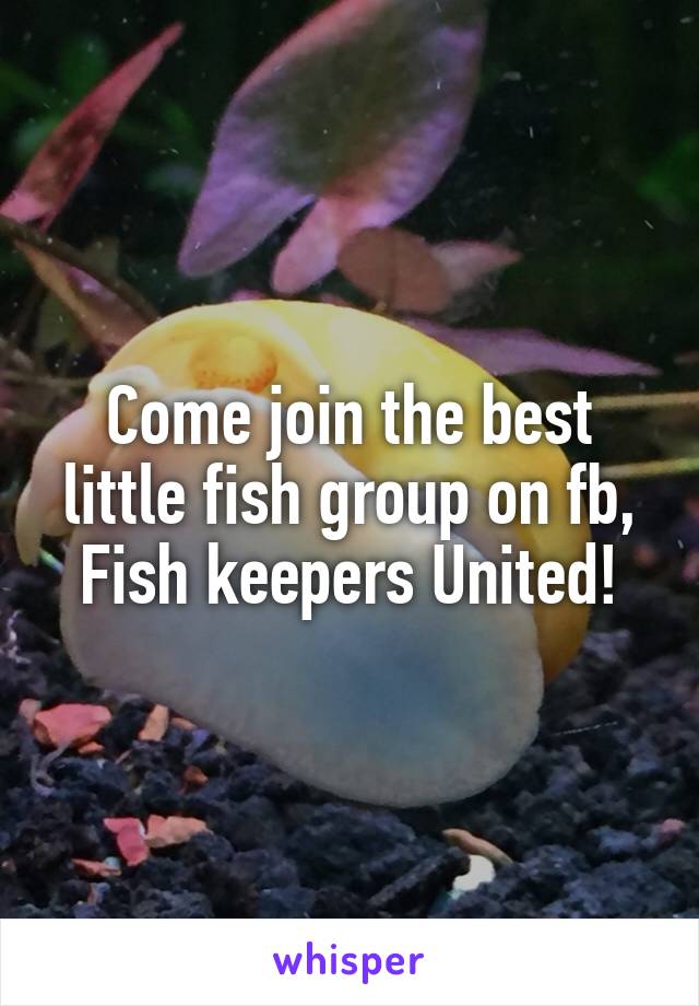 Come join the best little fish group on fb, Fish keepers United!