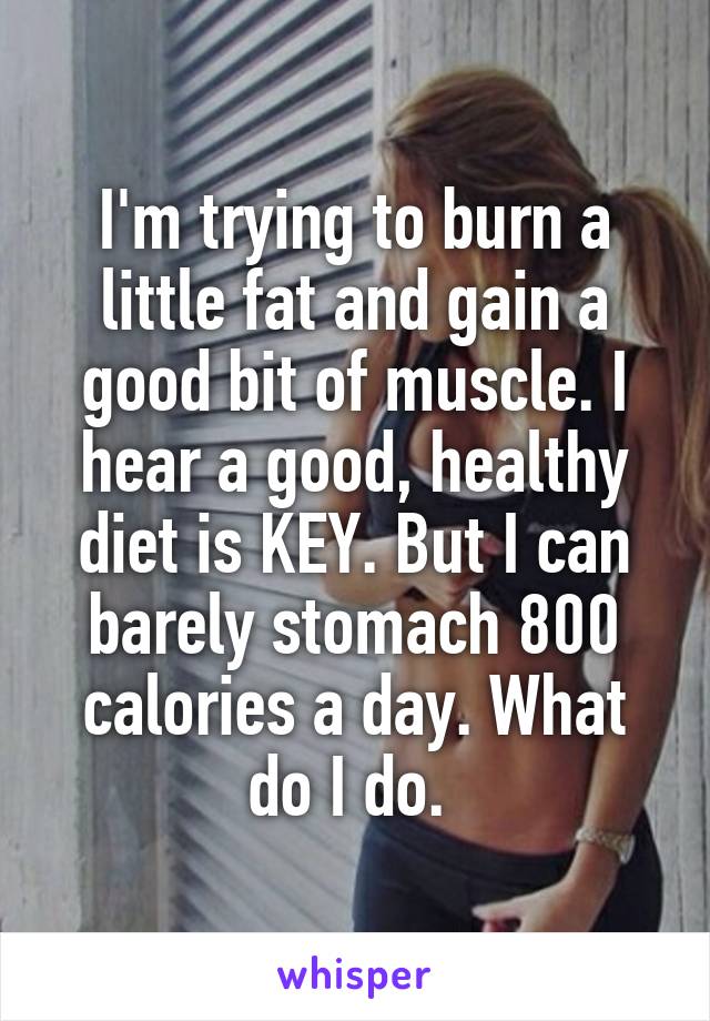 I'm trying to burn a little fat and gain a good bit of muscle. I hear a good, healthy diet is KEY. But I can barely stomach 800 calories a day. What do I do. 