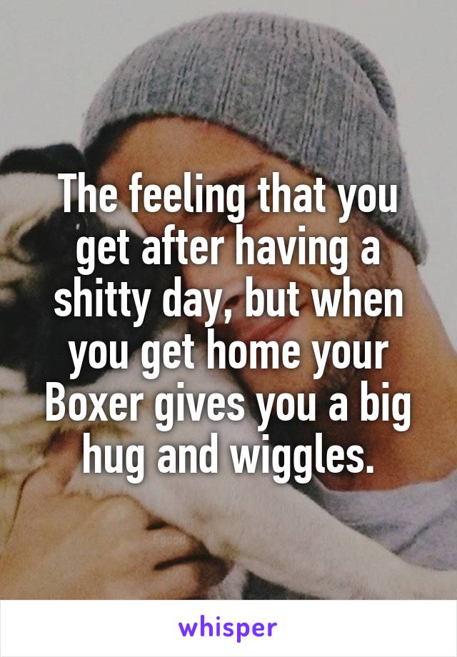 The feeling that you get after having a shitty day, but when you get home your Boxer gives you a big hug and wiggles.