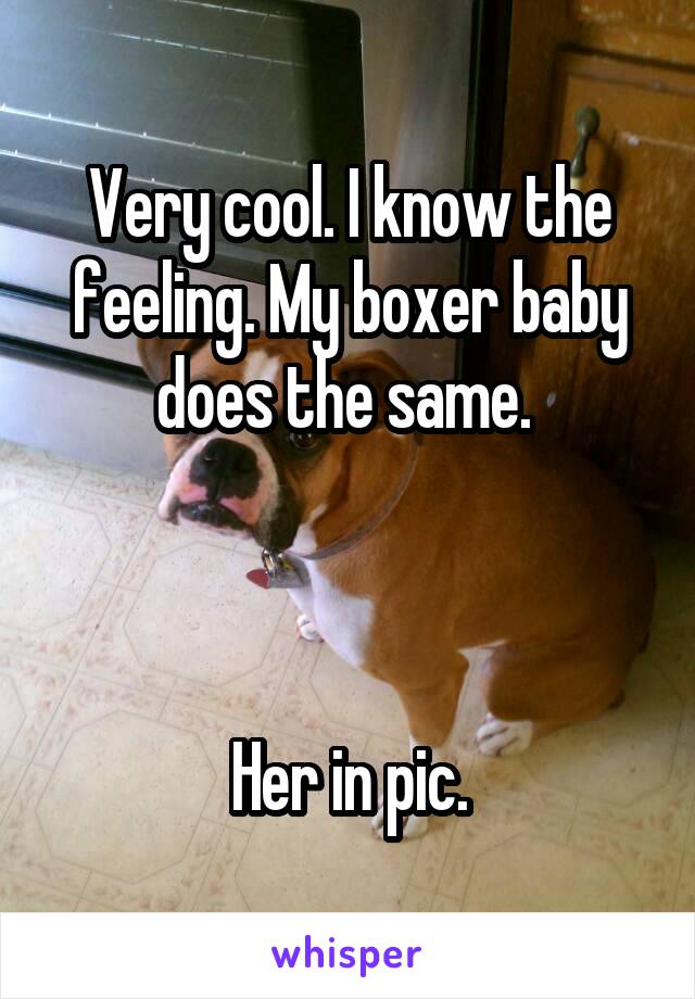 Very cool. I know the feeling. My boxer baby does the same. 



Her in pic.