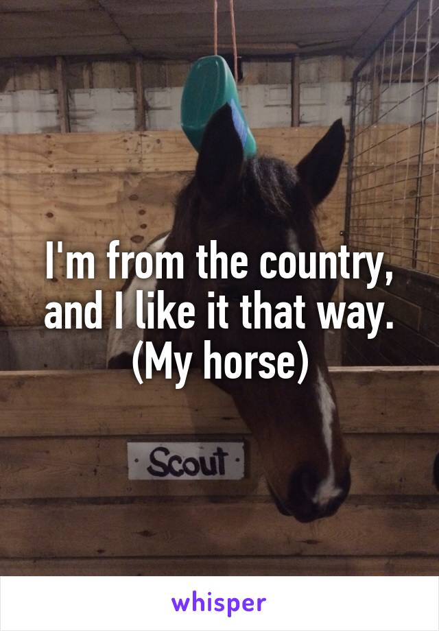 I'm from the country, and I like it that way.
(My horse)