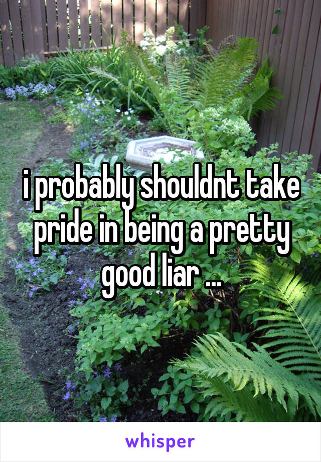 i probably shouldnt take pride in being a pretty good liar ...