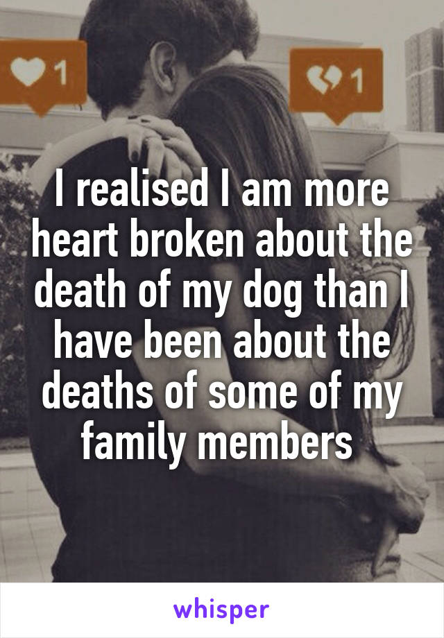 I realised I am more heart broken about the death of my dog than I have been about the deaths of some of my family members 