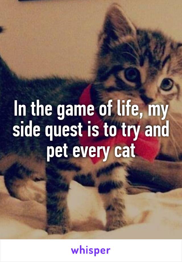 In the game of life, my side quest is to try and pet every cat
